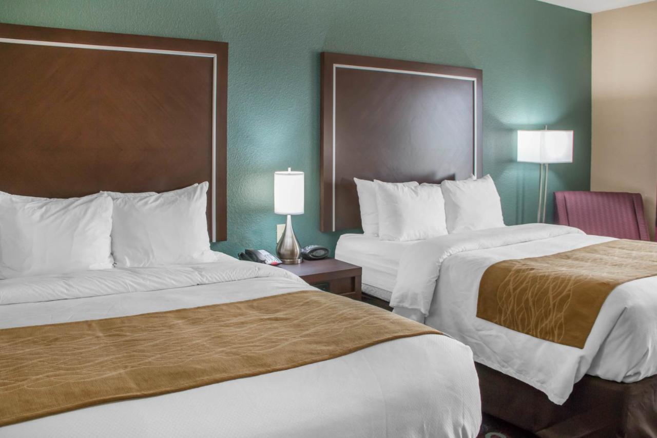 Comfort Inn&Suites San Marcos Eksteriør bilde