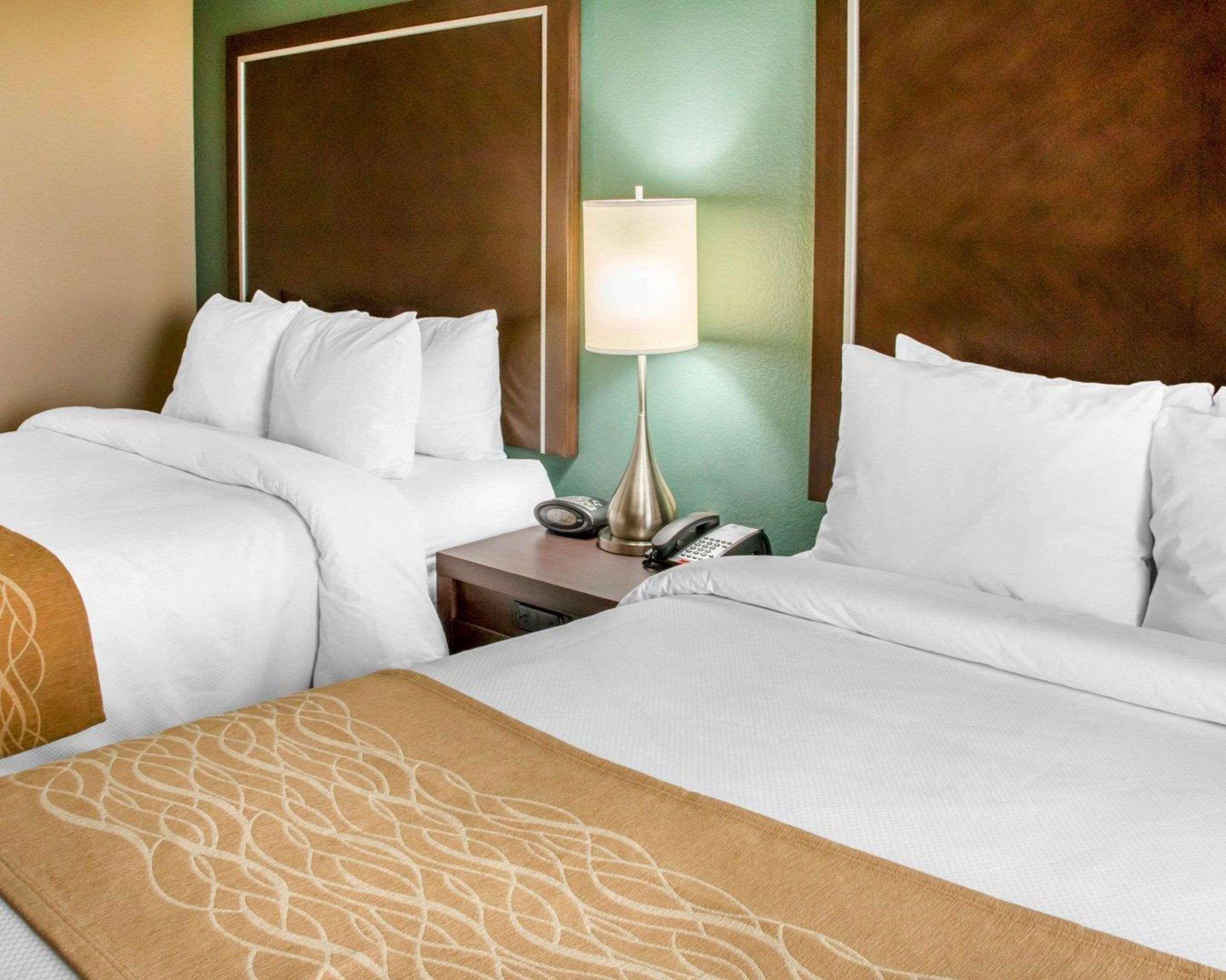 Comfort Inn&Suites San Marcos Eksteriør bilde