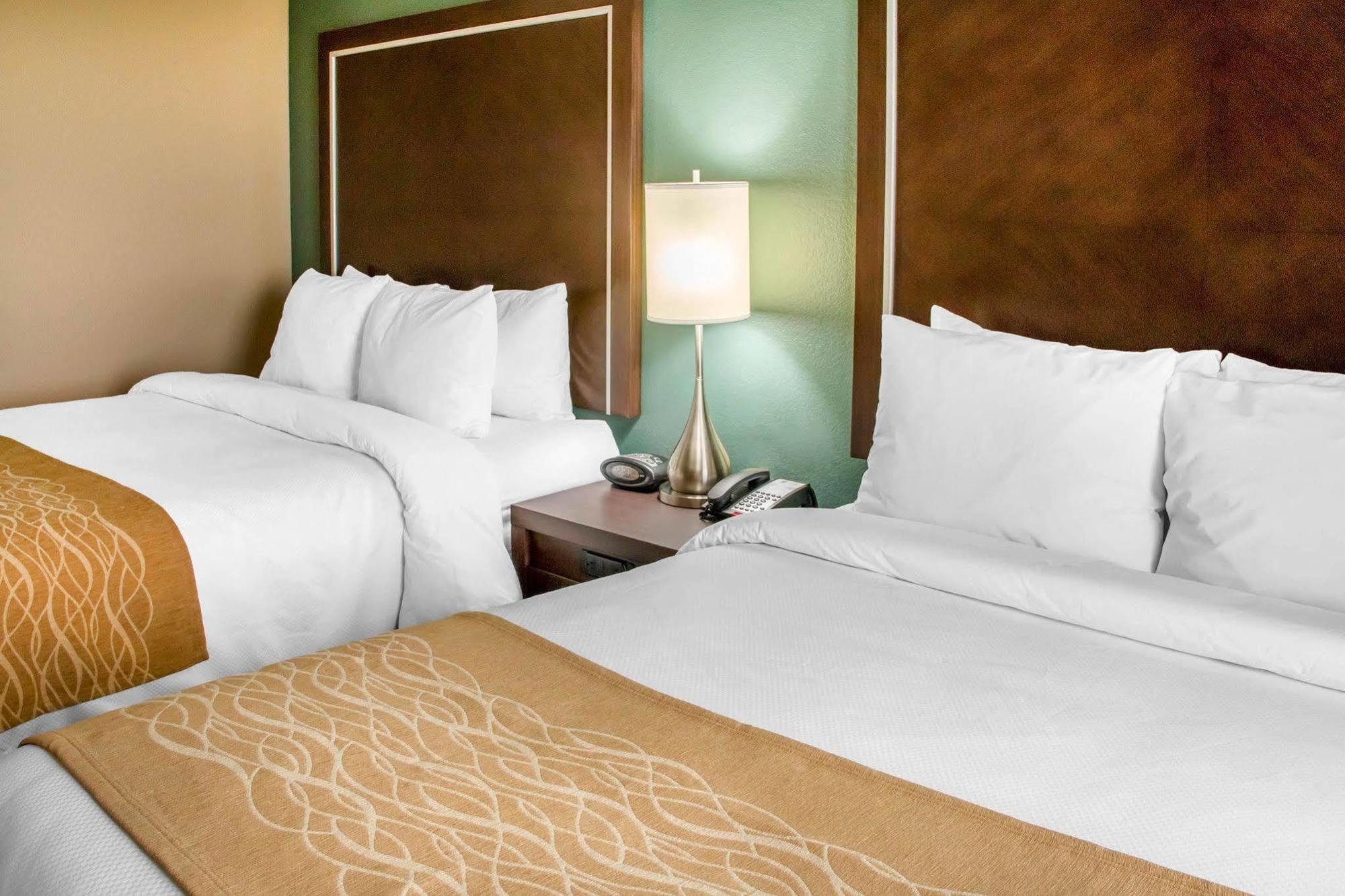 Comfort Inn&Suites San Marcos Eksteriør bilde