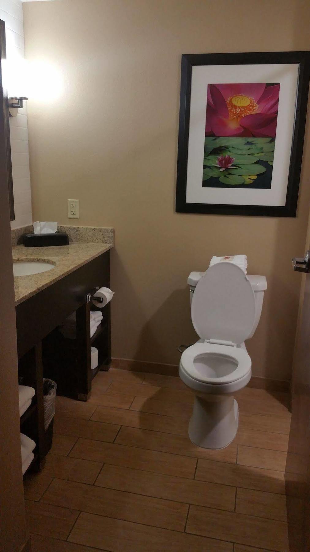 Comfort Inn&Suites San Marcos Eksteriør bilde